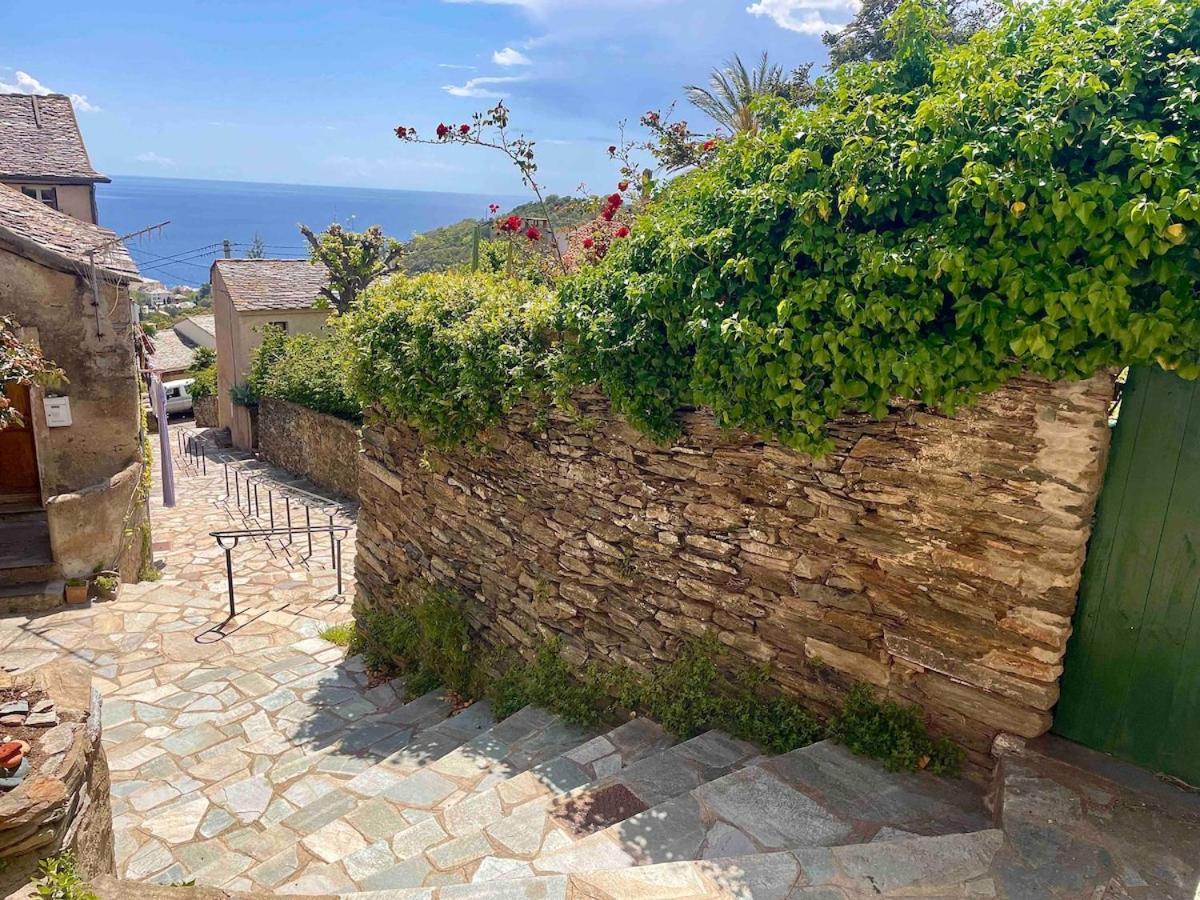 La Tour Morazzani Cap Corse Hideaway Lägenhet Brando Exteriör bild
